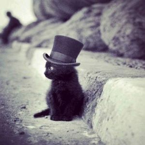 Meet your Posher, Iva